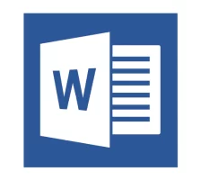 Microsoft Word 2010