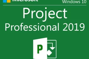 Microsoft Project 2019