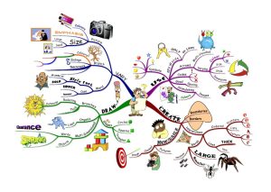 iMindMap 10