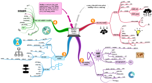 iMindMap