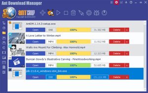 Ant Download Manager Pro 